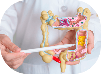 Cirurgia do Aparelho Digestivo